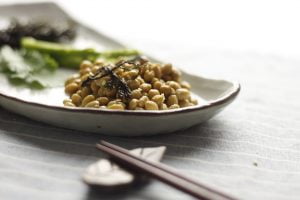 fermented soy