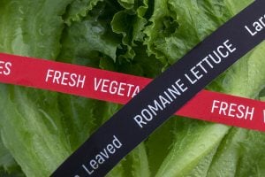 EcoPhages for Harmful Bacteria like E. coli