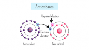 SOD enzymes, oxidative stress
