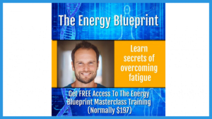 energy blueprint ari whitten