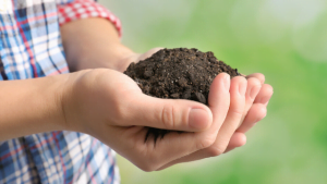 detox tips, immunity and nature